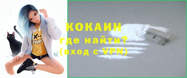 mdpv Инсар