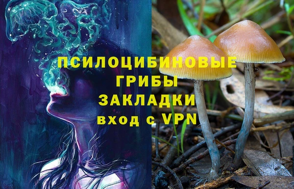 ALPHA-PVP Инта
