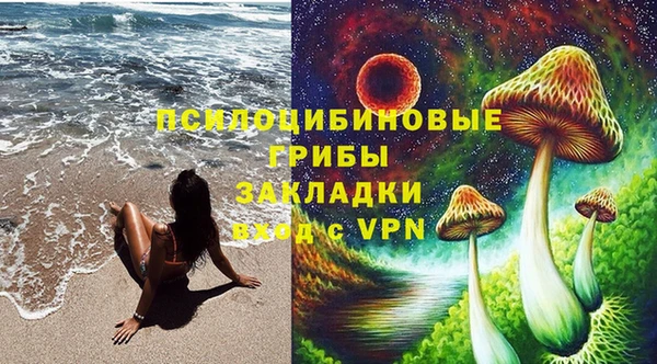 mdpv Инсар